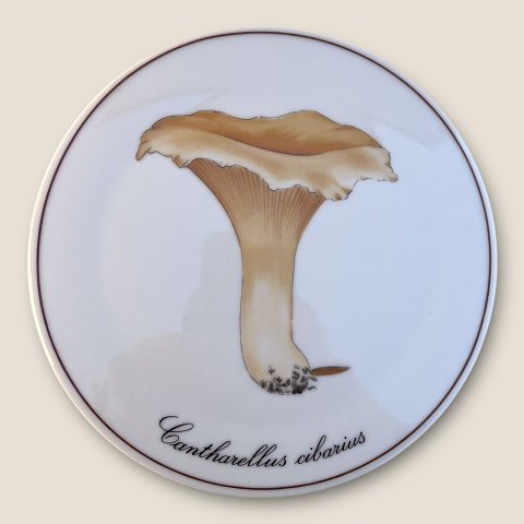 item no: 599495