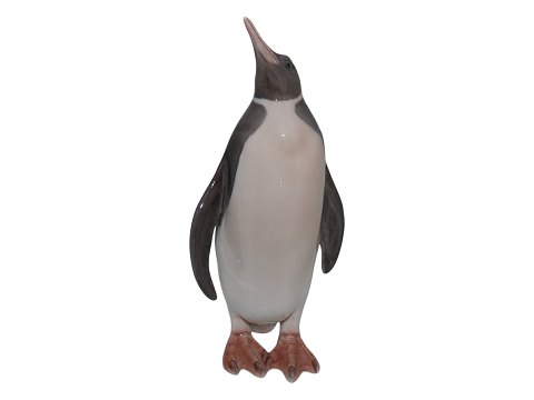 click to zoom