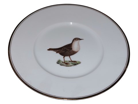item no: 602155