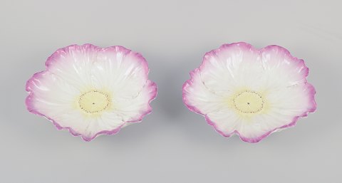click to zoom