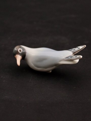 click to zoom