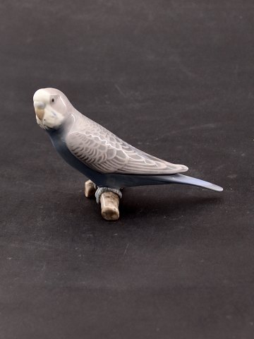click to zoom