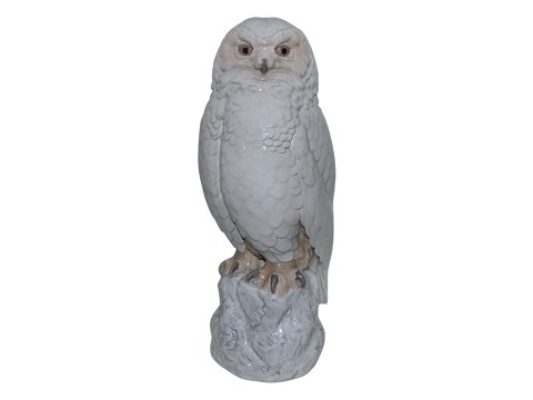 item no: 616935