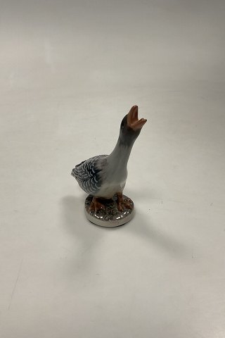 click to zoom