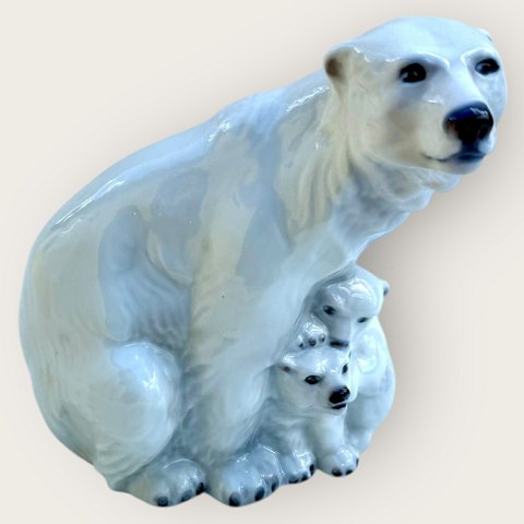 click to zoom