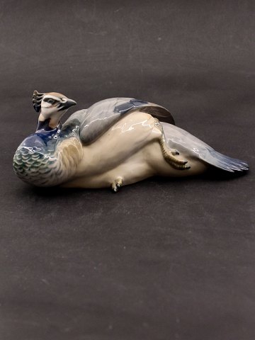click to zoom click to zoom