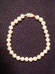 item no:
116466 item no:
116466