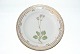 Royal 
Copenhagen 
Flora Danica, 
Breakfast plate
Dek.nr. 20 / # 
3550
Motif: 
Saxifraga 
Nivalis ...