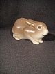 Rabbit.
 Bing & 
Gröndahl
 B & G keine 
2421
 2 Sortieren
 Kontakt für 
Preis