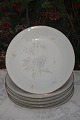 Venus Bing & 
Grondahl 
porcelain. B&G 
Venus, dinner 
plate no. 25. 
Diameter 24cm. 
9 7/16 inches. 
...