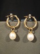 item no:
136960 item no:
136960
