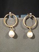 item no:
136961 item no:
136961