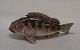 Dahl Jensen figurine
1384 Redfish small 13 cm