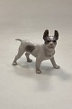 Royal Copenhagen Figur Boston Terrier No. 1457