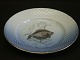 Bing & Grondahl Seagull with gold edgeFish plate, plaice no 3Diameter 21,5 cmGood condition