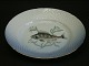 Bing & Grondahl Seagull with gold edgeFish plate, perch no. 9Diameter 21,5 cmGood ...