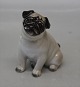 Royal 
Copenhagen dog 
0041 RC Pug 7,5 
Cm 
(1244041) Pia 
Langelund In 
mint and nice 
condition Mops