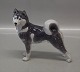 Royal 
Copenhagen 
Sibirian Husky 
? 0353 RC 
Husky/Spitz 
(12440038) 
Design Pia 
Langelund 
Greenland ...