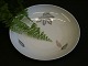 regular tea 
plate no 28a
Diameter ca. 
16 cm
Nice condition