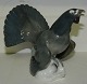 Figure of bird 
(Capercaillie) 
in porcelain 
from Carl 
Scheidig 
factory, 
Germany, in 
particular, ...