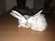 Royal 
Copenhagen 
Figurine Pair 
of Rabbits No 
518. Measures 
5cm high and is 
in perfect 
condition.