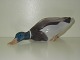 Large Royal 
Copenhagen 
Figurine, Duck
Decoration 
number 1934
Factory First
Measures ...