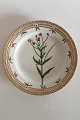 Royal 
Copenhagen 
Flora Danica 
Lunch Plate No 
3550 Rare 
Arnold Krog 
production 
1904-1908. ...