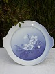 "Christrose" 
Bing & Gröndahl 
Porzellan. B&G 
Christrose, 
Runde Platte 
nr. 101. 
Durchmesser 
28cm. ...