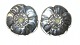 Earclips Silver 

Stamp: 826s, 
T. M. 
Silversmith: 
1907-1937 
William Fuglede 

Diameter ...