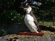 Stuffed uria 
aalge from the 
westcoast 
Denmark 1967
Height incl 
stand 28 cm