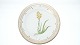 Royal 
Copenhagen 
Flora Danica, 
Breakfast plate
Dek.nr. 20 / # 
3550
Motif: 
Anthericum ...
