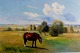 Niels Christiansen: Horse on the meadow. Signed N. Chr.