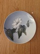 Royal Copenhagen Art Nouveau Wall Plate with Flower No 376/1117