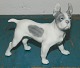 Royal Copenhagen Figure of Boston Terrier in porcelain