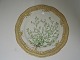 Royal 
Copenhagen. 
Flora Danica. 
Lunch plate 
(3554). 
Produced in 
1894 - 1900. 
Diameter 22 cm. 
(1 ...