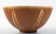Saxbo bowl of stoneware in a modern design.
