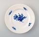 Blue flower 15 lunch plates from Royal Copenhagen.
Decoration number 10/8095.