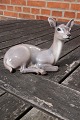 Dahl Jensen DJ 
porcelain 
figurine No 
1147 of 3rd 
quality,
Deer lying.
The figurine 
has a tiny ...