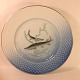Seagull with 
gold.
Fishing saucer 
21.5 cm.
Bing & 
Grondahl B & G 
no. 326
4. Gedde
First ...