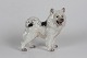 Dahl Jensen dog 
figurine
Cute greenland 
samoyes dog no 
1082
Height 16 cm
1. quality - 
...