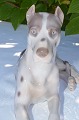 Bing & 
Grondahl. 
Figurine Grea 
Dane no. 1773. 
Length 29 cm. 
1. quality,  
fine condition. 
...