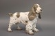 B&G figurine 
no. 2095 Cocker 
Spaniel. Design 
Lauritz Jensen. 
Measurements 
H:16cm W:7cm 
L:20,5cm.
