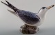 Dahl Jensen bird no. 1319 Little Tern 15 cm.
