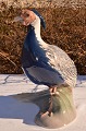 B&G figurine 
porcelain. B&G 
Large 
beautiful, 
silver pheasant 
no. 1784. 
Length 43cms. 
16 15/16 ...