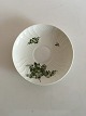 Royal 
Copenhagen 
Green Flower 
Saucer No 
1550-1872. 16.5 
cm (6 1/2")