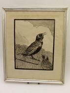 Johannes Larsen woodcut with starling sold