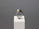 Ring in 14 ct. 
whitegold with 
2 cultured 
Pearls (0,2 
cm).
Size 61.