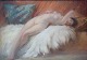 Henslængt nøgen kvinde på lammeskind, fransk Art Deco, pastel.
