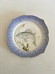 Royal 
Copenhagen Blue 
Fishplate with 
Gold No 
1212/3002 with 
Labrax Lupus. 
22.5 cm
