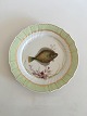 Royal 
Copenhagen 
Green Fish 
Dinner Plate No 
919/1710 with 
Pleuronectes 
Platessa. 25 cm 
(9 27/32")